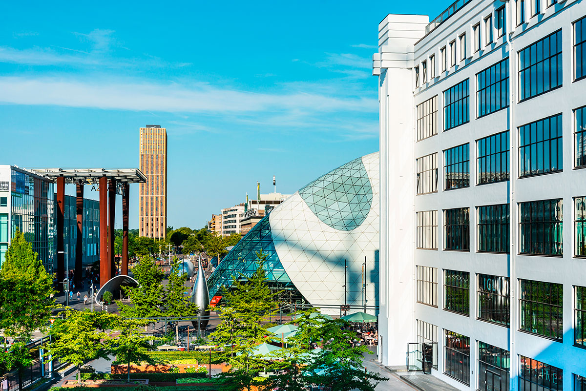 how to set up a business in the netherlands